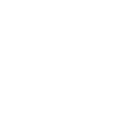 LV fellow association logo (white)